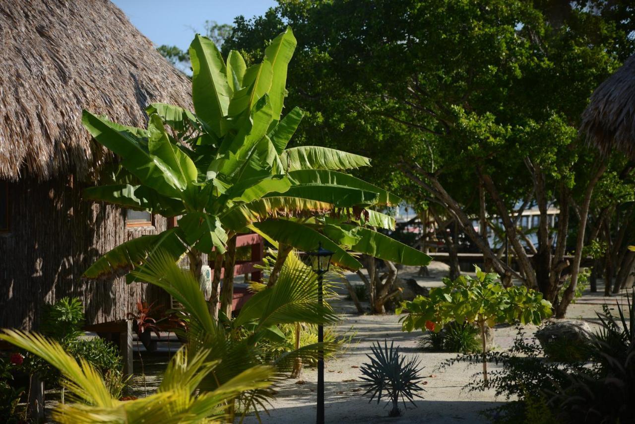 El Ben Cabanas Caye Caulker Extérieur photo